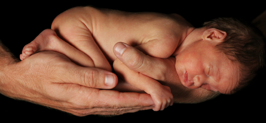 A premature baby cradled in a parent's hands