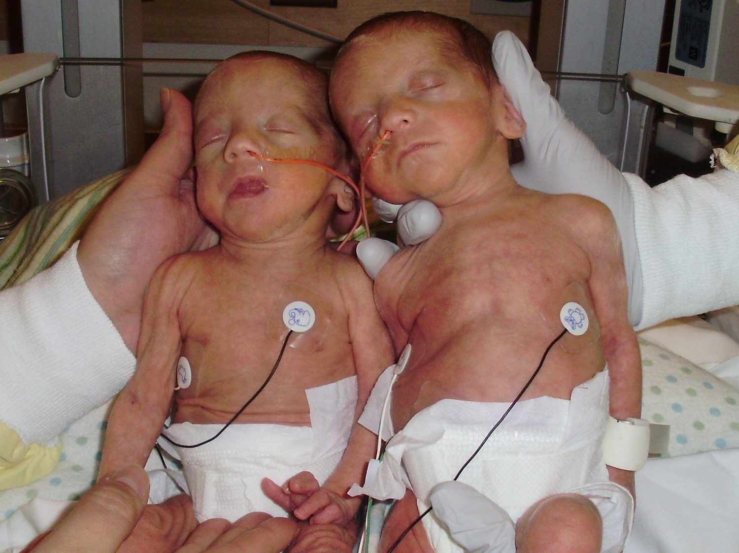 Mary Coughlin Presents Donation to MGH NICU photo